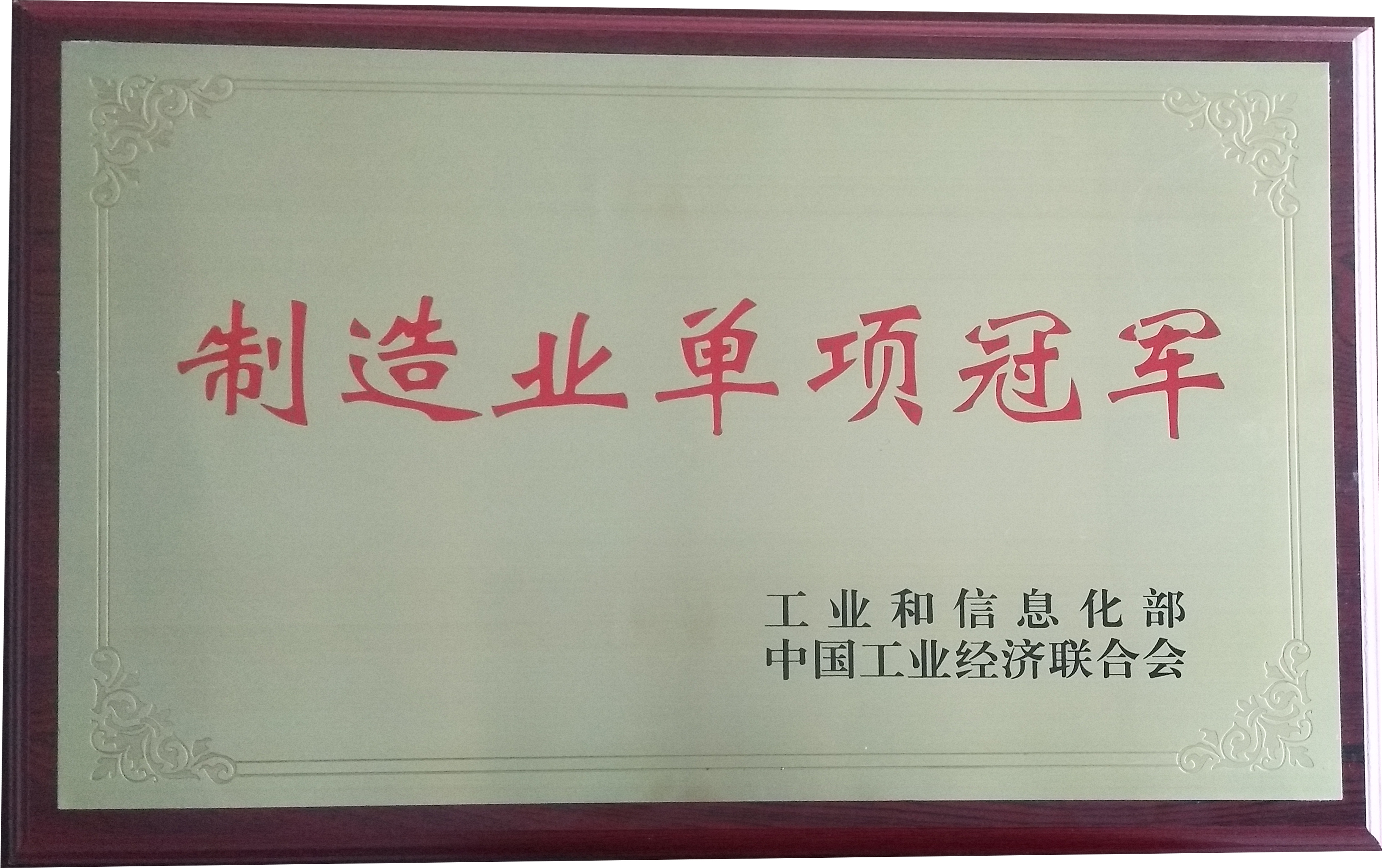 公司榮獲國家級制造業(yè)單項冠軍企業(yè)